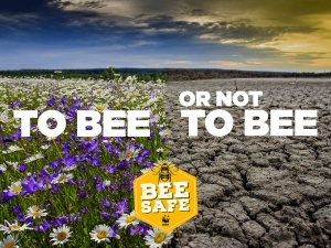 Riparte il progetto “Bee Safe”. Salviamo le api e gli altri impollinatori
