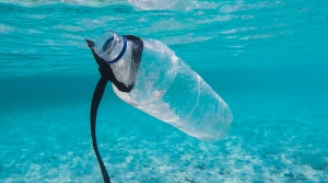 Nuove norme per favorire la riduzione delle plastiche in mare