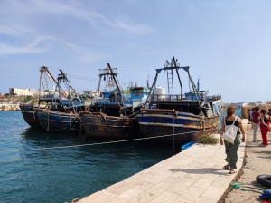 Lampedusa le giornate conclusive di Snapshots From The Borders