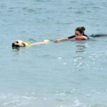 un cane porta a riva un bagnante durante un'esercitazione di salvamento