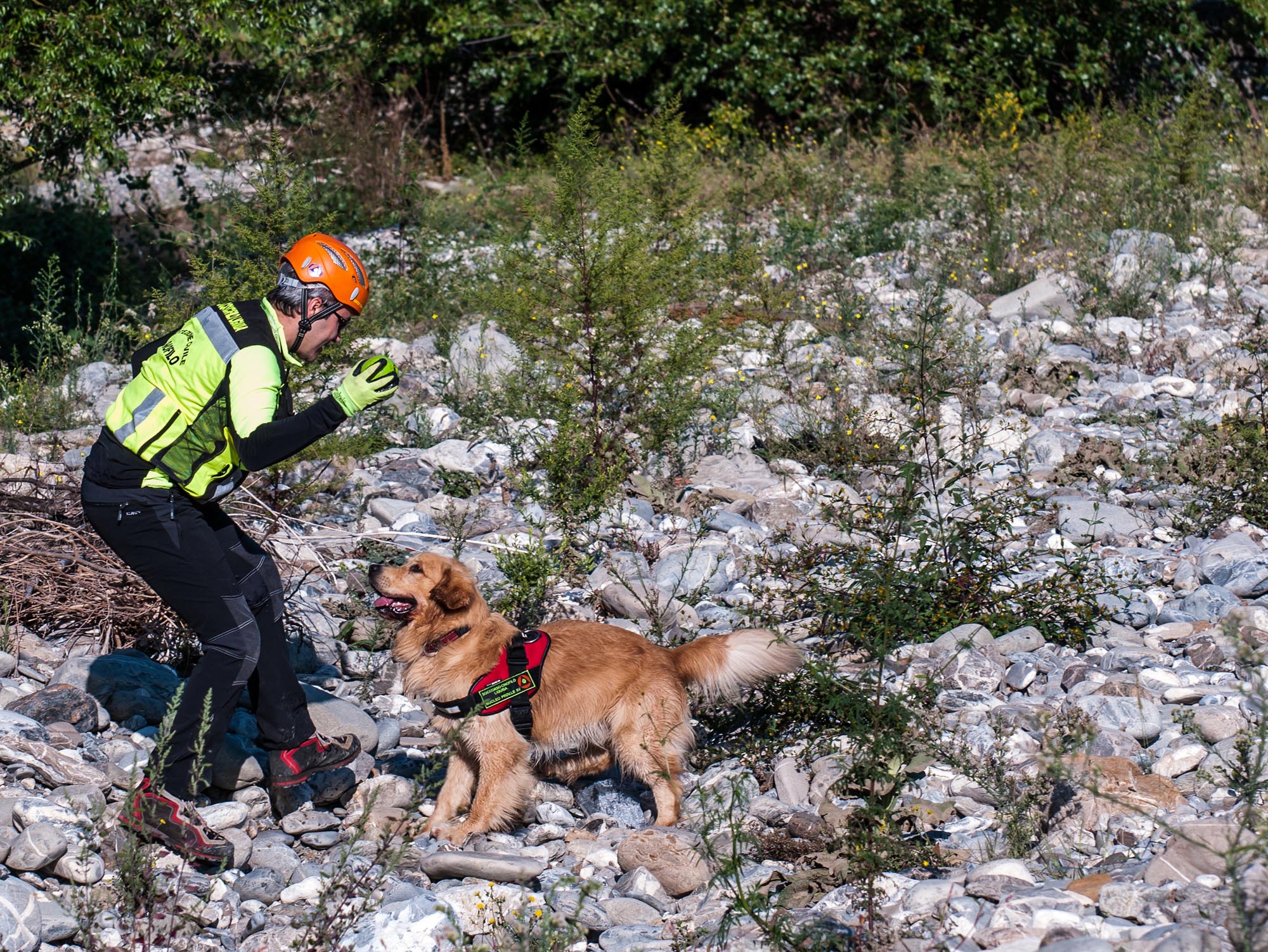 Persona con caschetto della protezione civile insiema a cane