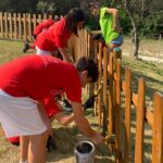 ragazzi con le magliette rosse verniciano una staccionata in un parco