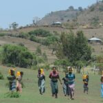 persone che camminano