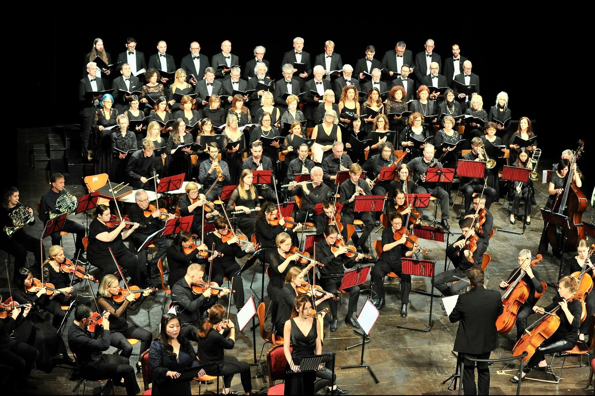 Una intersa ensamble musicale con vari strumenti