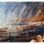 Immagine di una riviera con rimesse di barche su una falesia