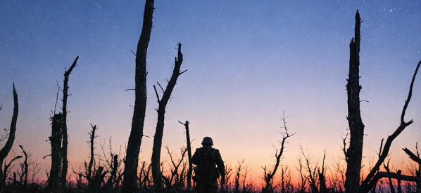 una persona che cammina tra alberi spogli