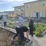 persone che lavorano in un orto