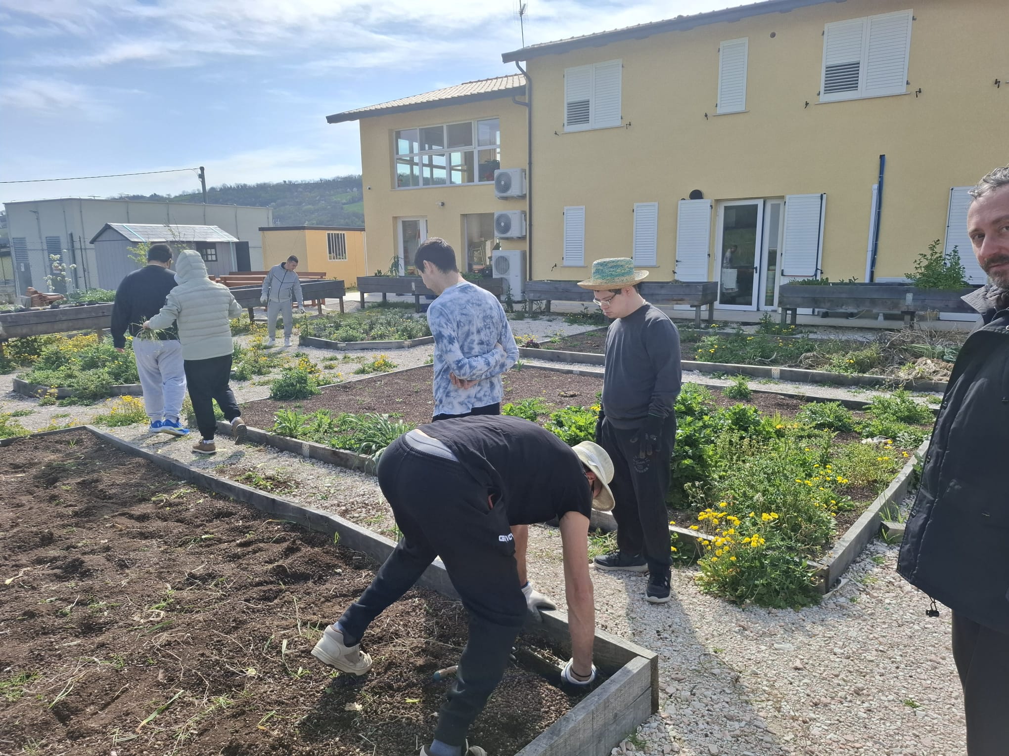 persone che lavorano in un orto