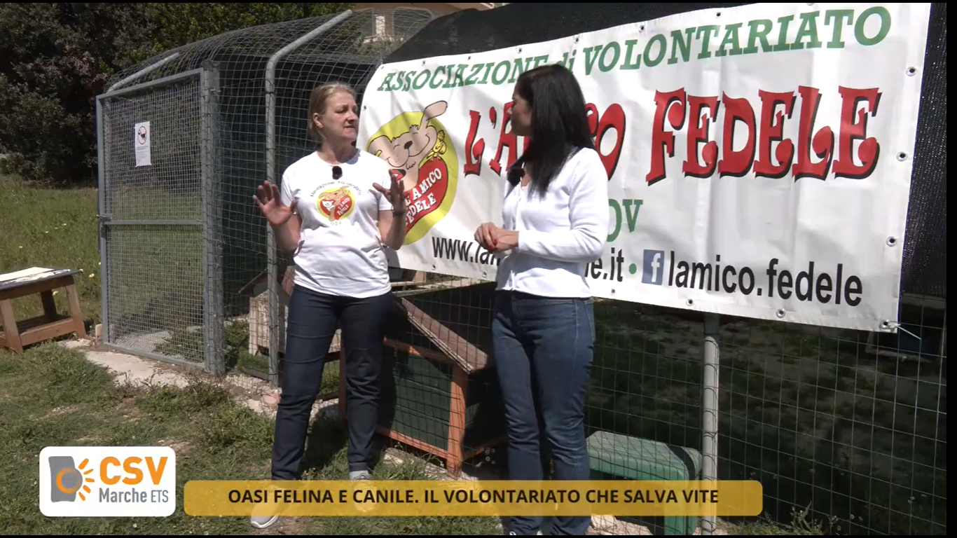 Due donne che parlano tra loro