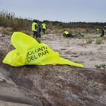 un gruppo di volontari del parco, con pettorine gialle, durante un'azione di volontariato ambientale