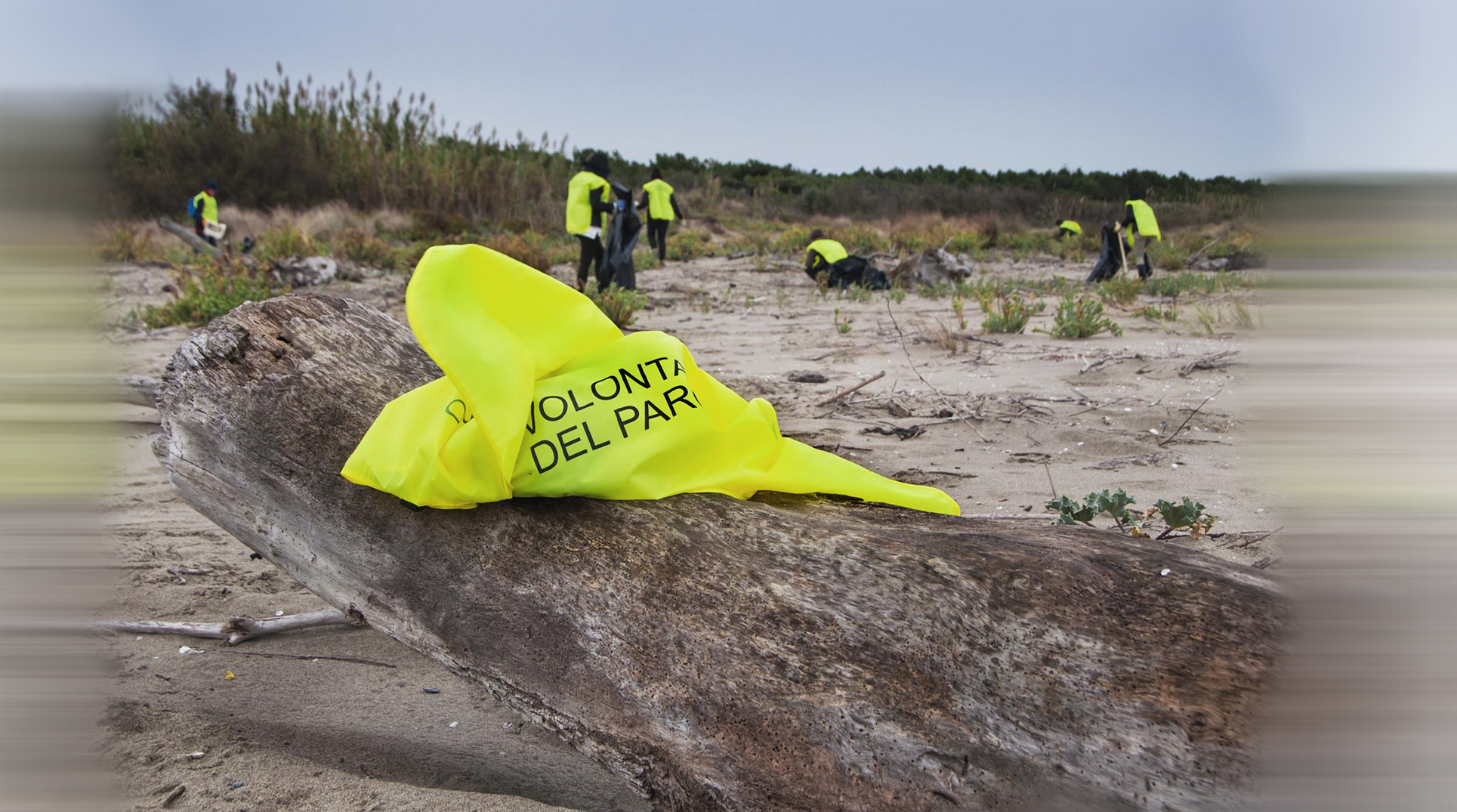 un gruppo di volontari del parco, con pettorine gialle, durante un'azione di volontariato ambientale