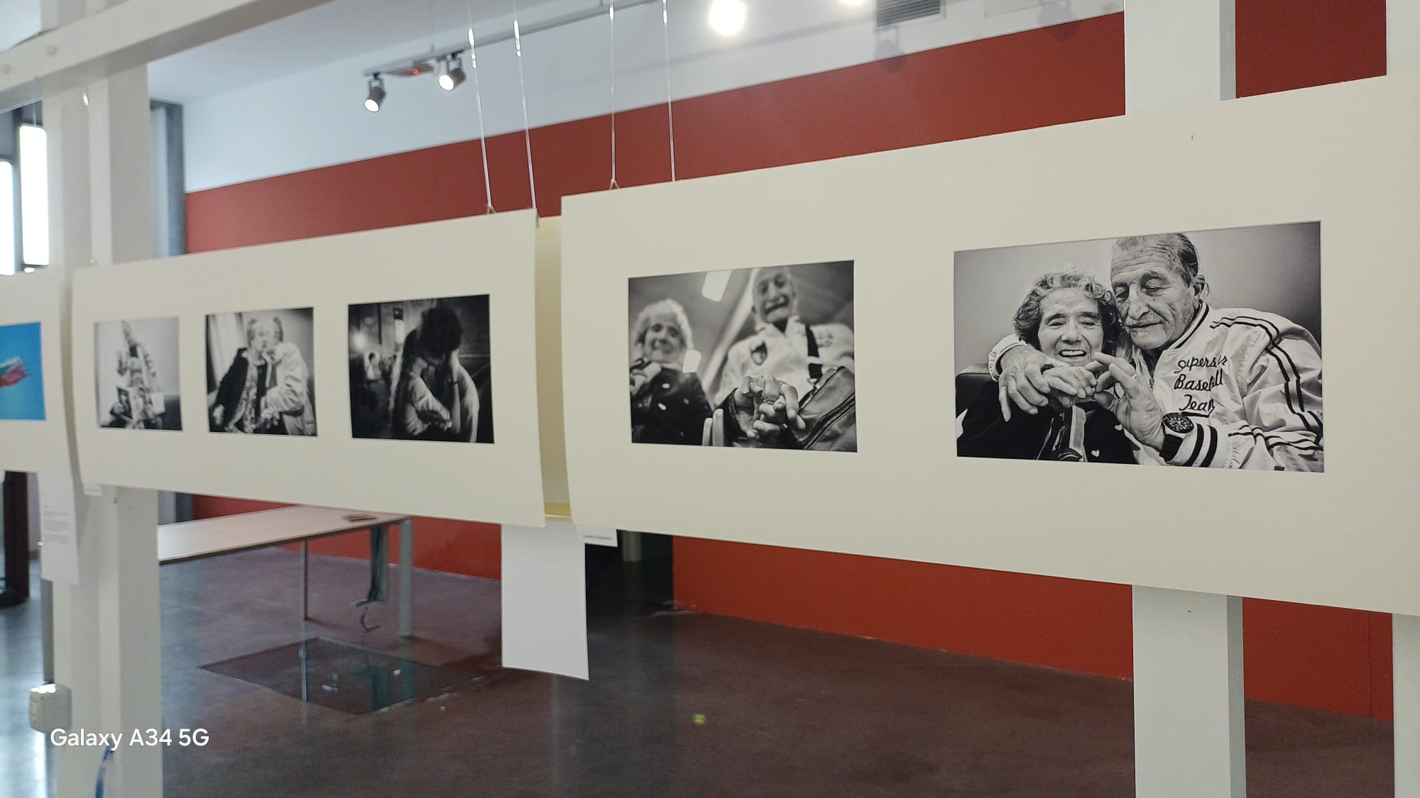 Fotografie esposte in un pannello