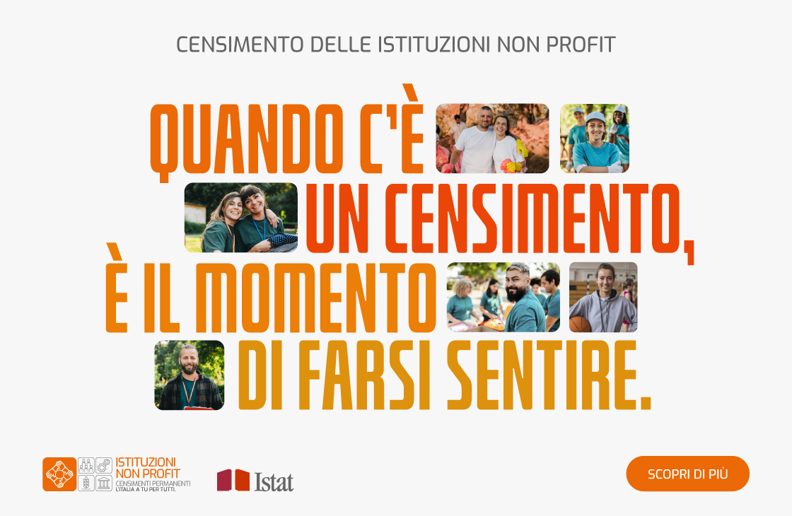 banner grafico del censimento non profit