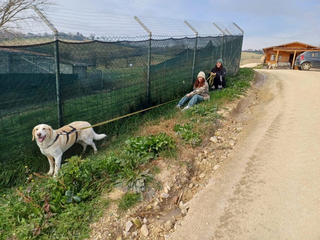 Foto di Noemi Saracini e un'altra volontaria durante una passeggiata con un cane bianco