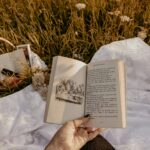 Ilbro aperto su un prato