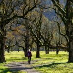Una camminata nella natura