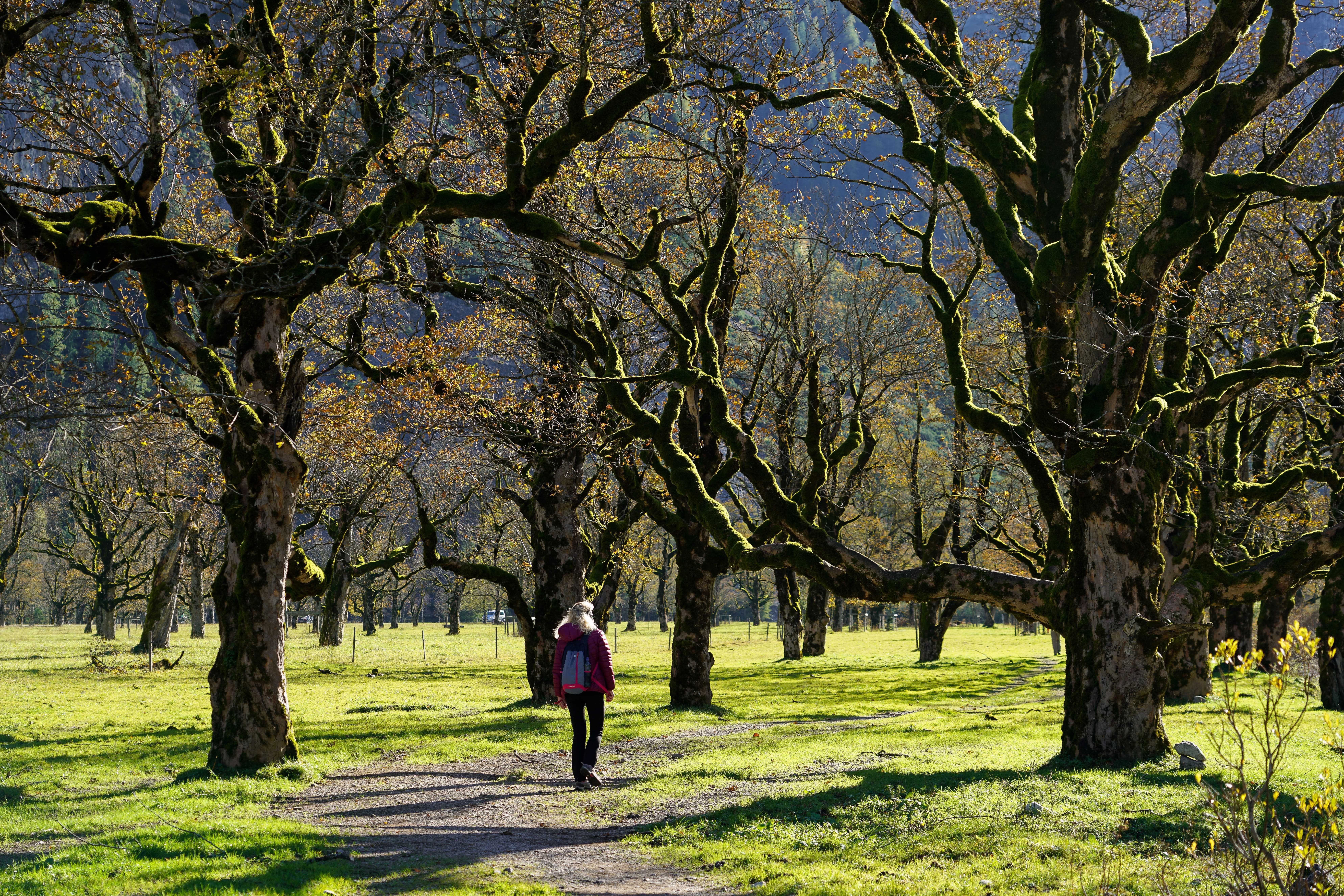 Una camminata nella natura