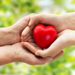 due mani si scambiano un cuore giocattolo