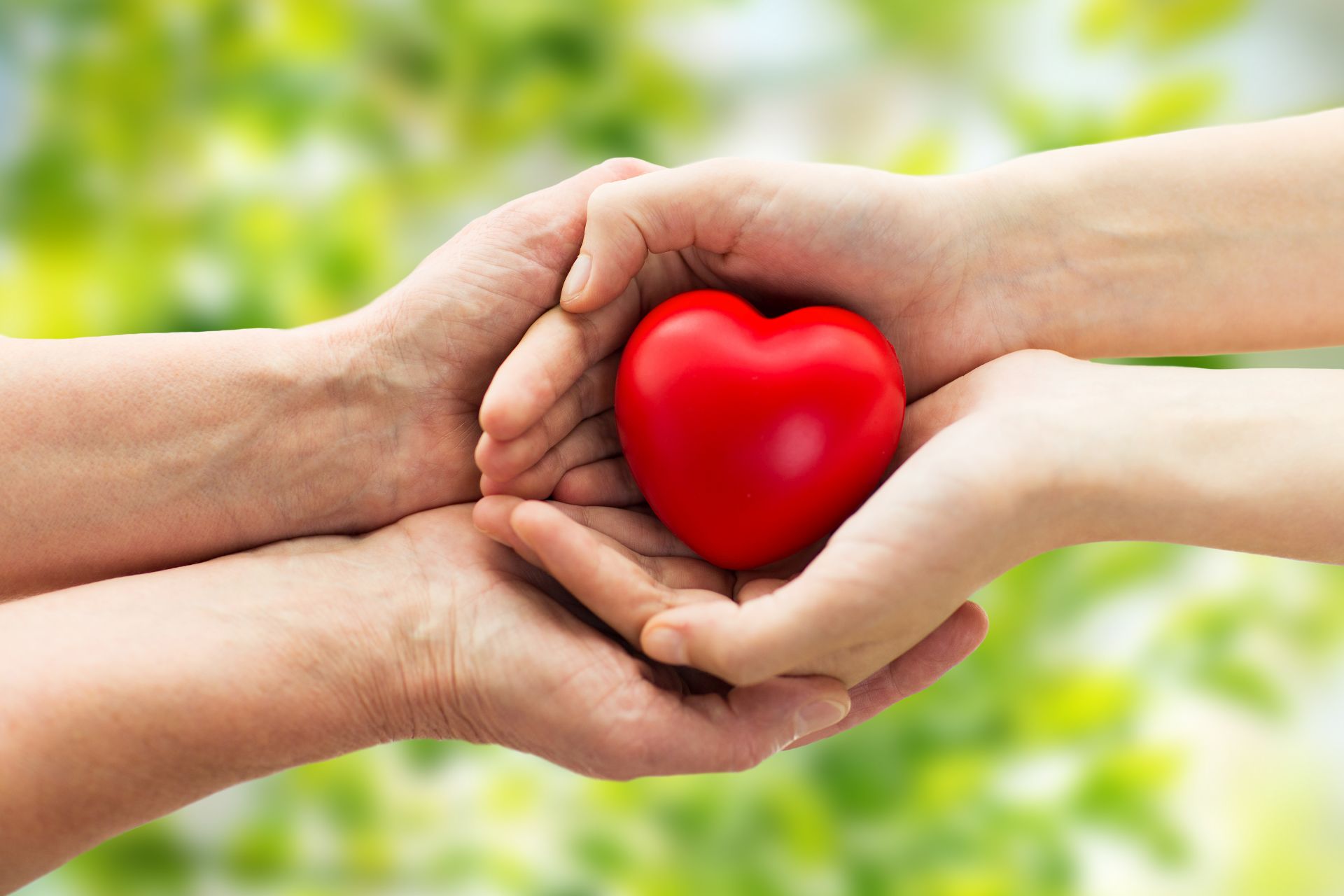 due mani si scambiano un cuore giocattolo