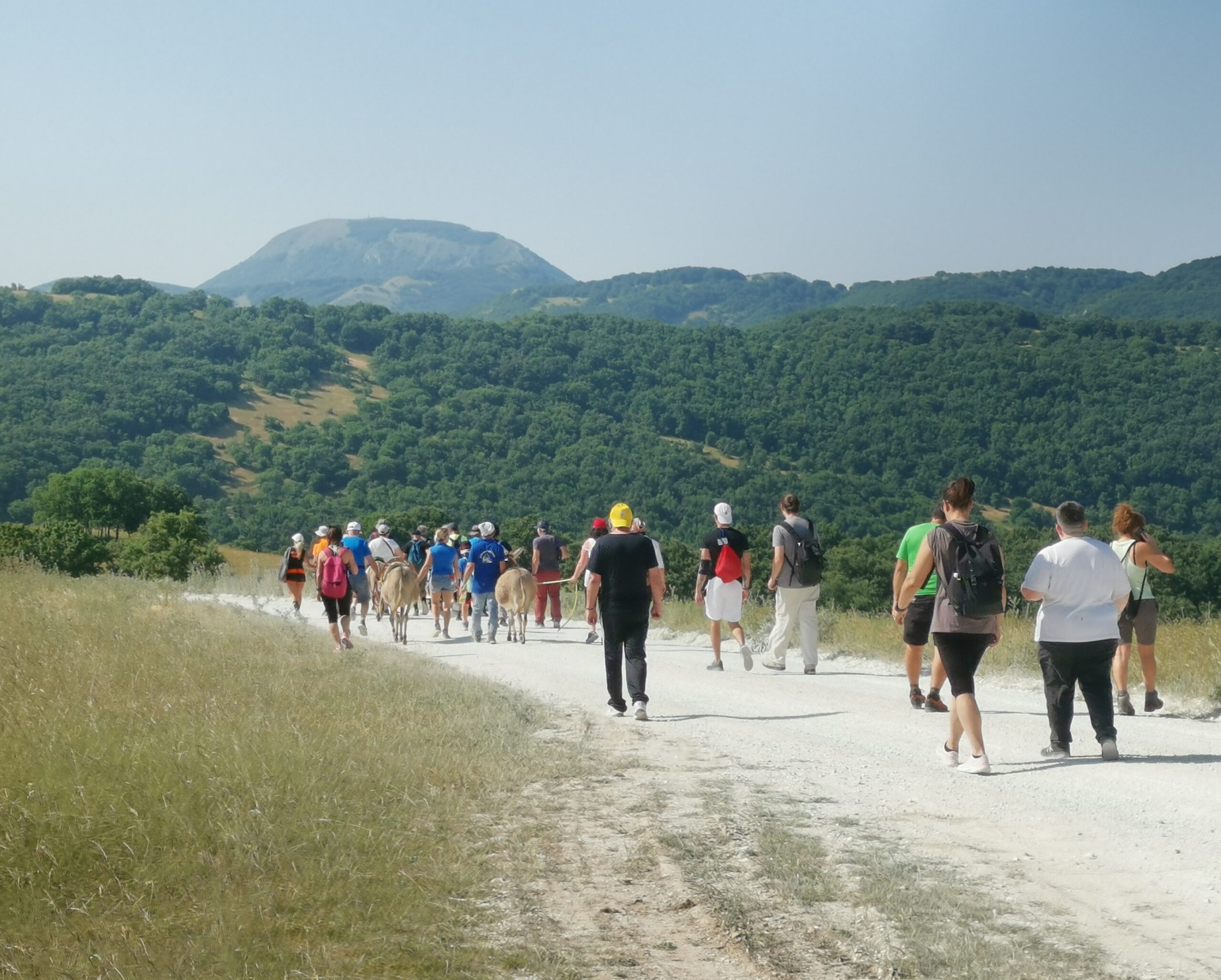 un gruppo di persona lungo un sentiero di montagna
