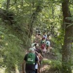 Immagine di persone che passeggiano nel bosco