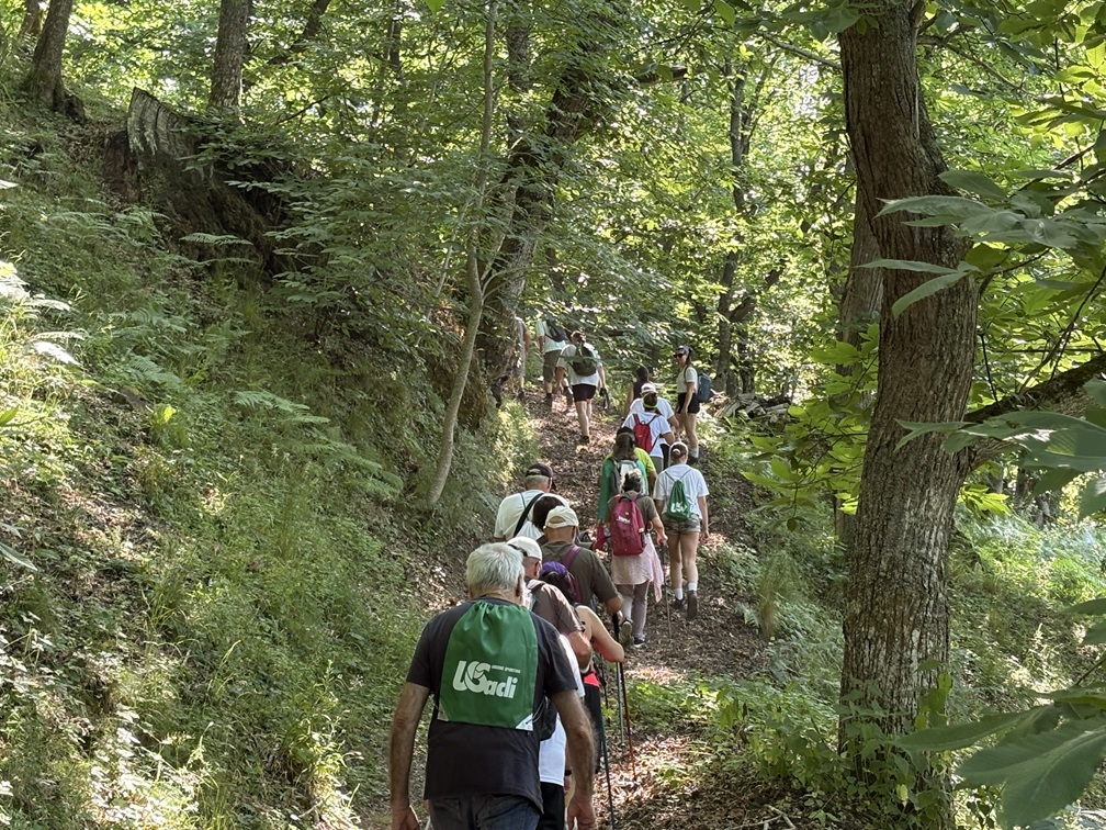 Immagine di persone che passeggiano nel bosco