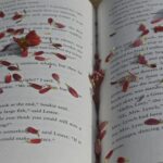Un libro aperto con dei petali sulle pagine