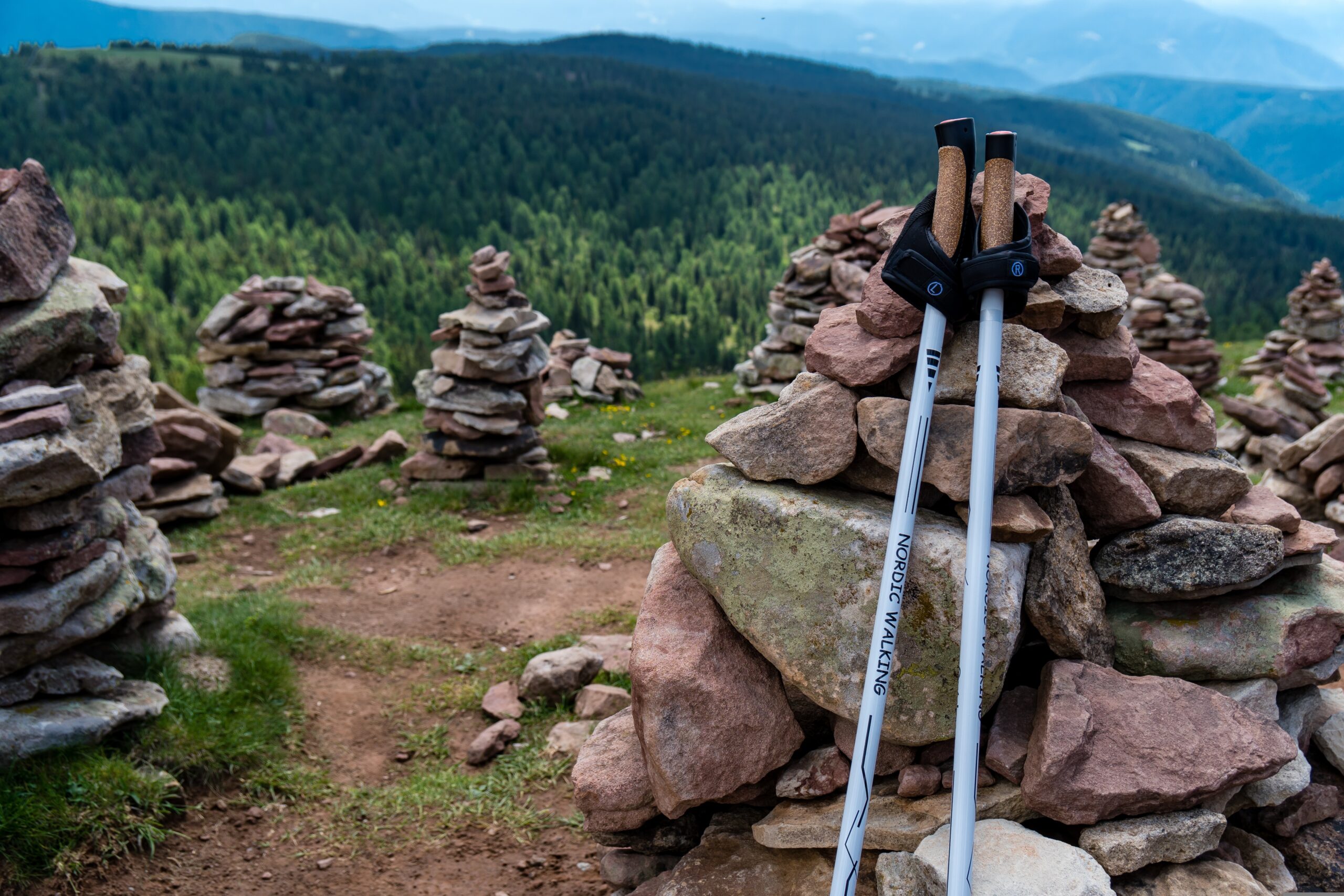 bastoncini per il nordic walking