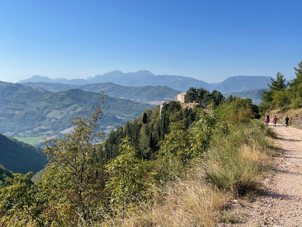 panorama montano
