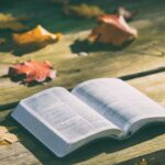 Le pagine di un libro