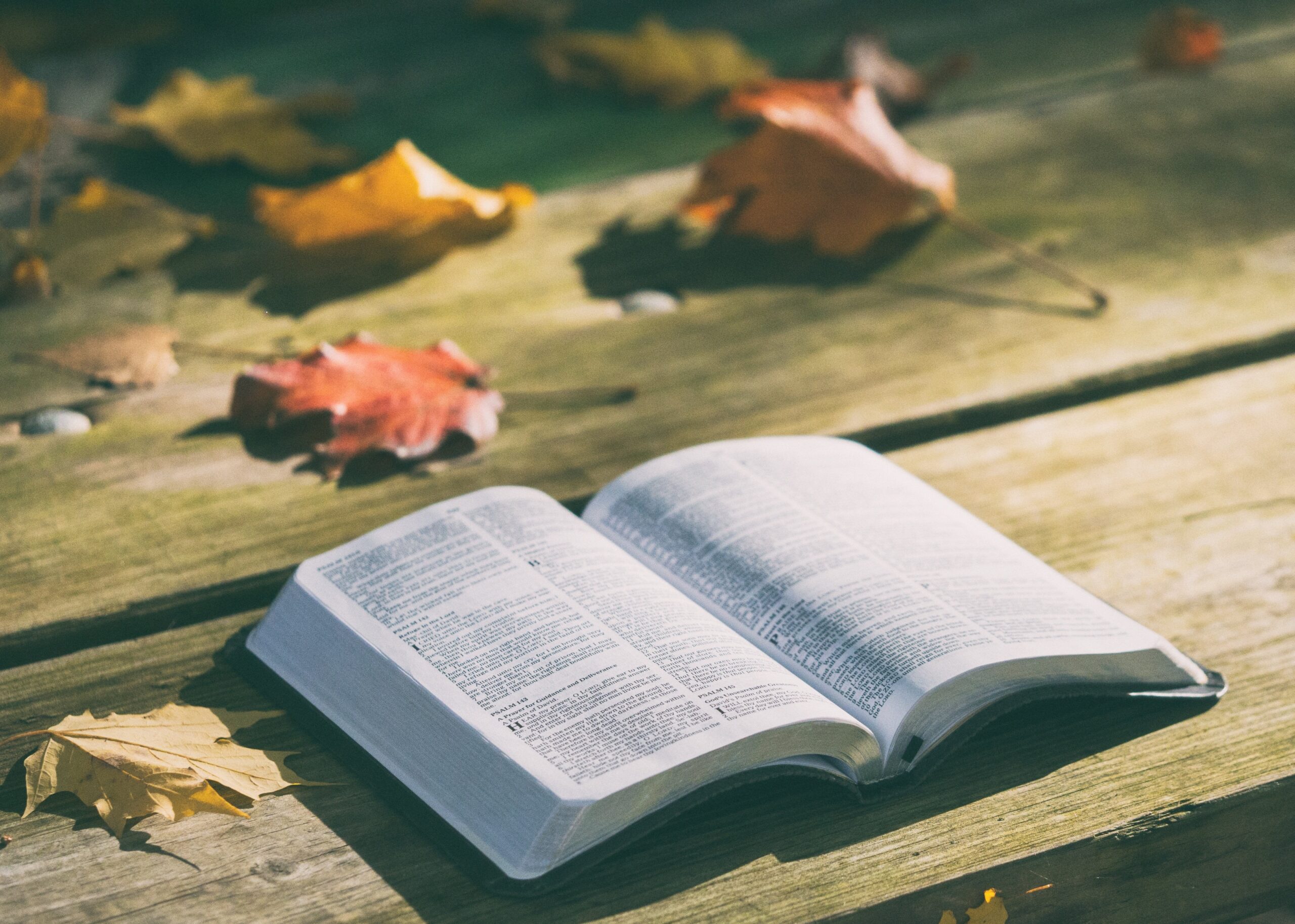 Le pagine di un libro