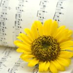 Uno spartito musicale con un fiore appoggiato sopra