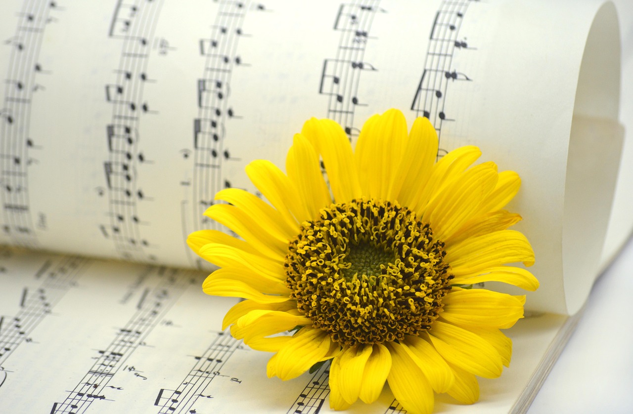 Uno spartito musicale con un fiore appoggiato sopra